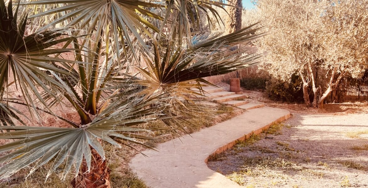 Jardin 6